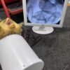 Industrial Portable X Ray Machine for Pearls, turtle eggs Fluoroscope machine