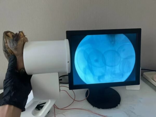 Industrial Portable X Ray Machine for Pearls, turtle eggs Fluoroscope machine
