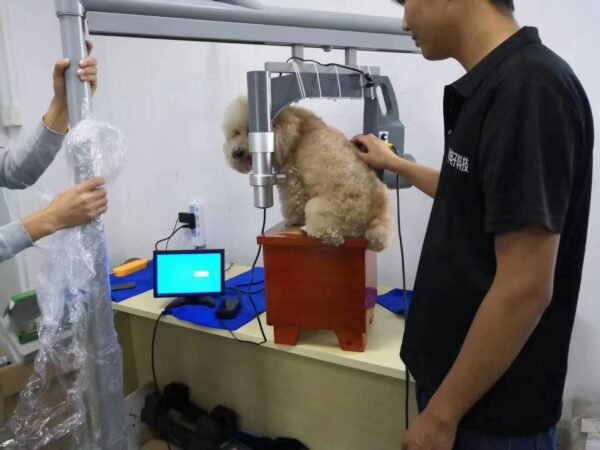 Industrial Portable X Ray Machine for Pets, veterinarian, cat, dog, Fluoroscope machine