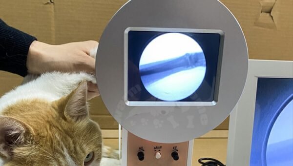 Industrial Portable X Ray Machine for Pets, veterinarian, cat, dog, Fluoroscope machine