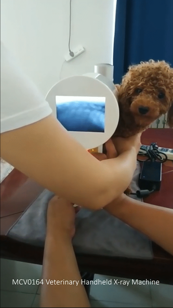 Industrial Portable X Ray Machine for Pets, veterinarian, cat, dog, Fluoroscope machine