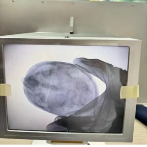 Industrial Portable X Ray Machine for Pearls, turtle eggs Fluoroscope machine