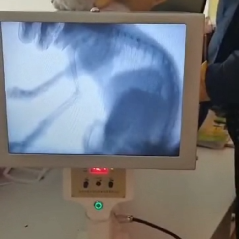 微信图片_20250614163141