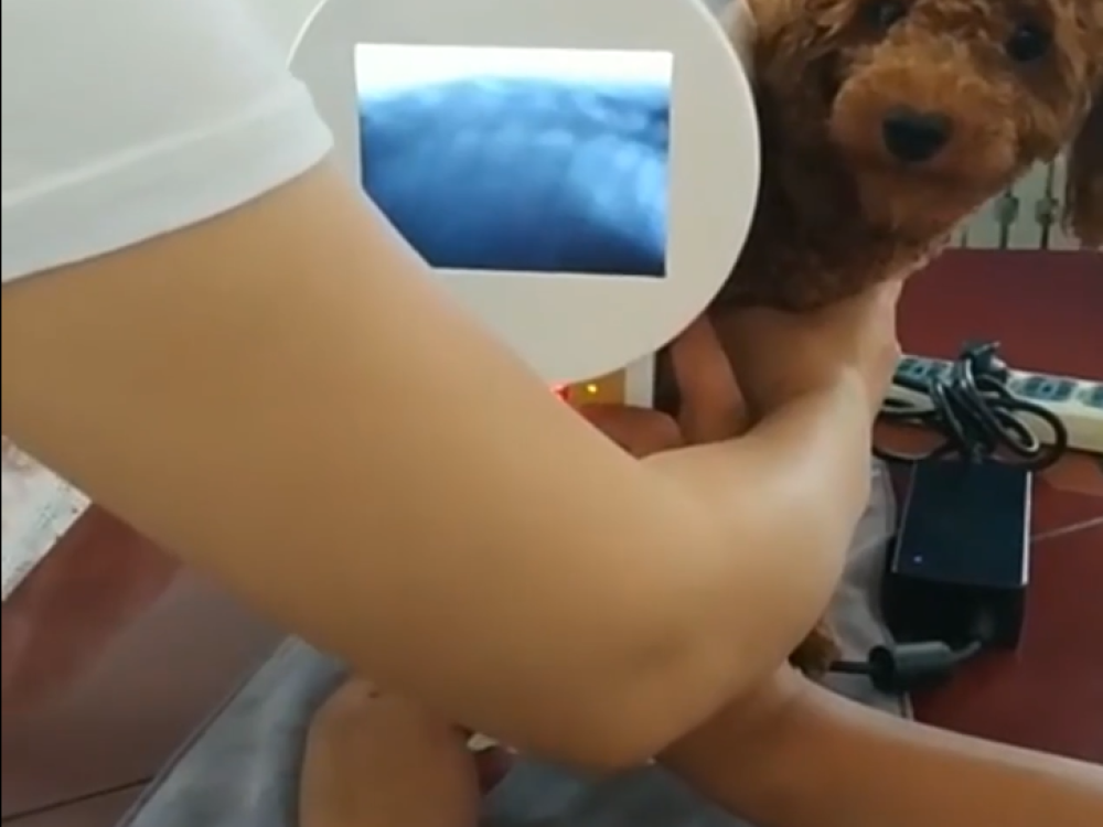 微信图片_20250614164538